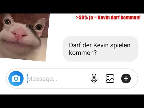 Ich frage 100 fremde Leute ob Kevin spielen kommen darf