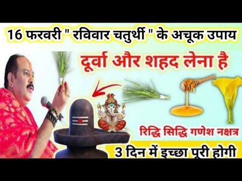 16 फरवरी रविवार चतुर्थी के उपाय | दूर्वा और शहद का ये उपाय करना | chaturthi upay pradeep mishra