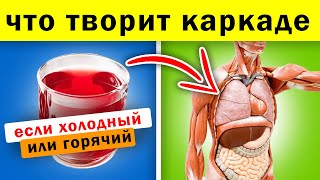 Реакция СЕРДЦА на КАРКАДЕ: давление, холестерин, старение организма и даже