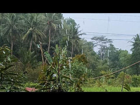 Magelang hujan angin badai#hujan