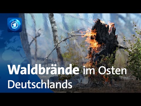 Mehrere Waldbrände in Ostdeutschland weiterhin nicht unter Kontrolle