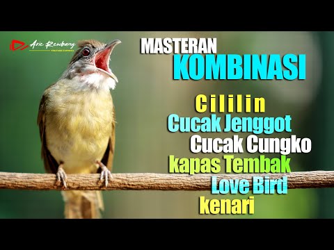 KOMBINASI MASTERAN LENGKAP TERPOPULER