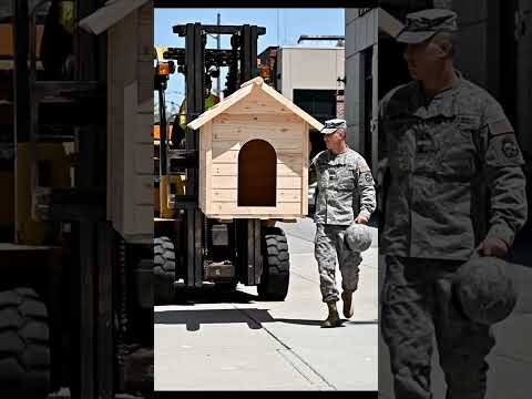 He Saved This Happiness Only for Him ๐พโค๏ธ#dogandhuman #unconditionallove #reunionjoy #softemotions