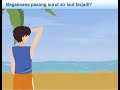 Kuis Pasang Surut Air Laut