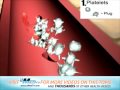 Blood Clotting Process and Components