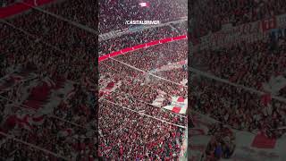 👊𝙇𝙤𝙨 𝙗𝙤𝙨𝙩𝙚𝙧𝙤𝙨, 𝙡𝙤𝙨 𝙗𝙤𝙨𝙩𝙚𝙧𝙤𝙨 ... 🐷