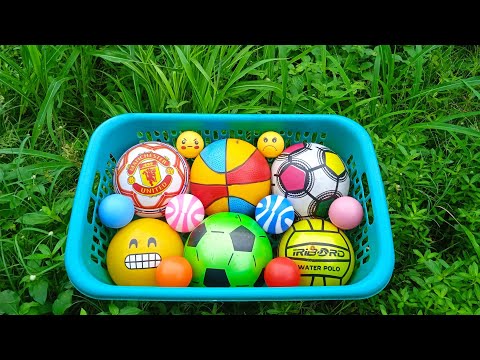 Mencari Bola Sepak, Bola Warna Warni, Bola Basket, Bola Emoji, Balon Berhadiah Mobilan, Tayo, Ikan