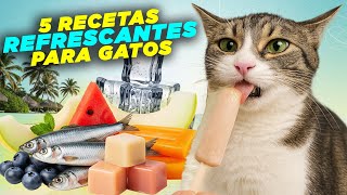 ​​5 RECETAS FÁCILES para REFRESCAR a tu GATO en VERANO 😻🍉❄️ | ¡Snacks saludables y caseros!