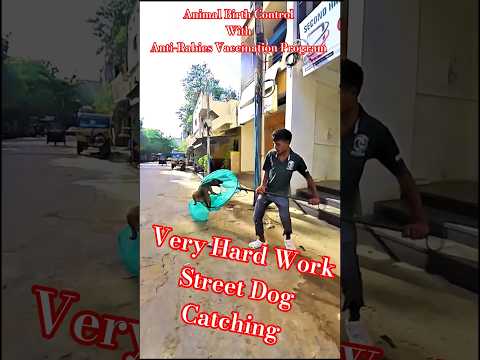 Technologia Dog Catch Style #dogwithpublicsafety #ytshorts #dog #shortsfeed #pets