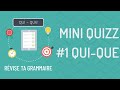 Mastering French Relative Pronouns: QUI and QUE