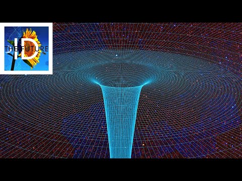 Stephen Meyer: Can There Be a Theory of Everything?