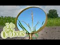 Corn Farming Practices and Knowledge