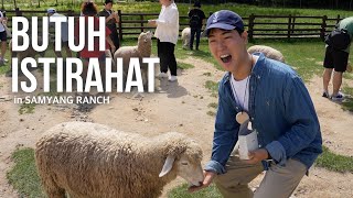 Apakah Bisa Hidup 3 Hari Tanpa Ponsel? Cara Laki-Laki Korea Beristirahat | in Samyang Roundhill🍜