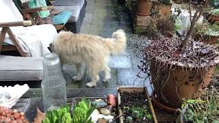 IMG 3933