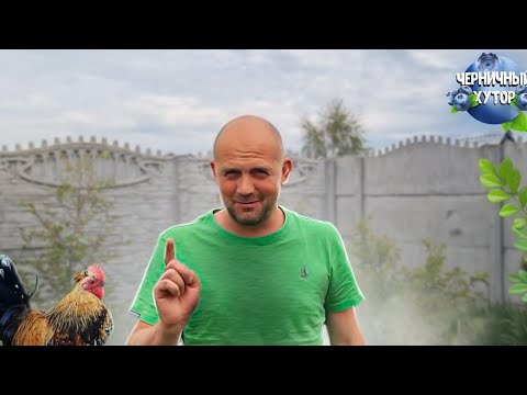 Поездка в город. Увезли цыплят и привезли полезные вещи для хутора. Сезон комаров начался.