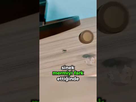 Sineğe Kurşun Sıkmak! 🪰🔫🤯