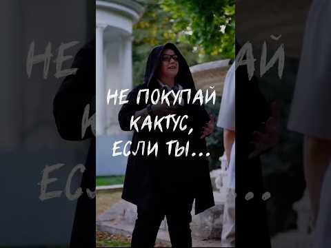 КАКОЕ РАСТЕНИЕ ТЕБЕ ПОДОЙДЕТ?Переходи в тг-канал по ссылке в описании, рассказала там⬆️