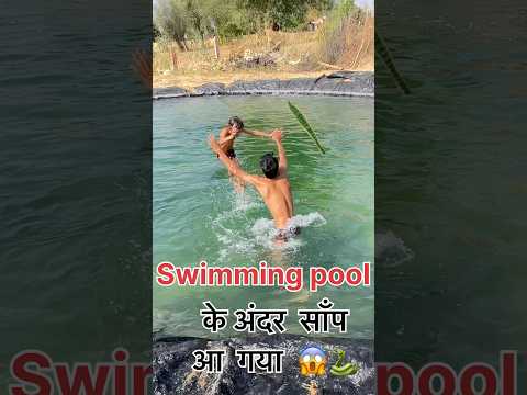 Swimming pool ke andar snake aa gya 😱🥹 (35) #minivlog #shorts