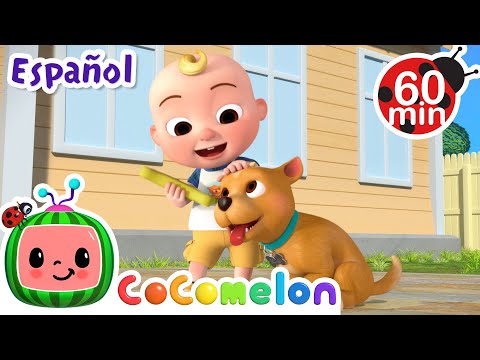 Aprendemos a cuidar al perrito 🐶 Canciones Infantiles🎵| Juega | Moonbug Español | Cocomelon