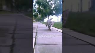 ты можешь быть кем хочешь