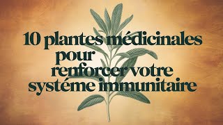 10 plantes médicinales pour renforcer votre système immunitaire