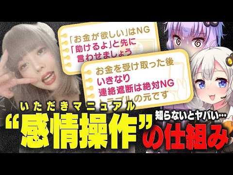 いただきマニュアル　解説