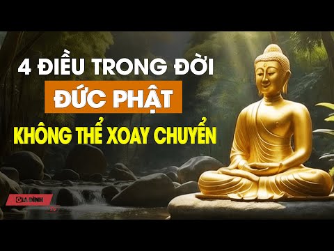 Đời Người Có Những Thứ Không Thể Cưỡng Cầu, Đức Phật Cũng Không Thể Xoay Chuyển