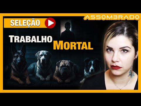 TRABALHO MORTAL: FIZERAM TRABALHO para M4TAR os MEUS CACHORROS