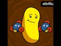 Understanding the Nitrogen Cycle