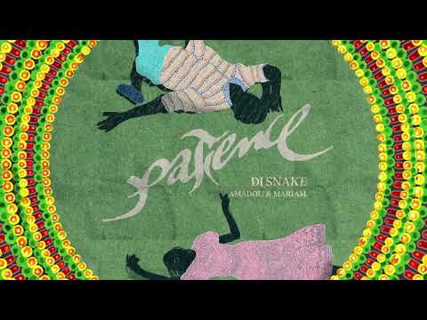 DJ SNAKE x AMADOU & MARIAM - PATIENCE [VISUALIZER]