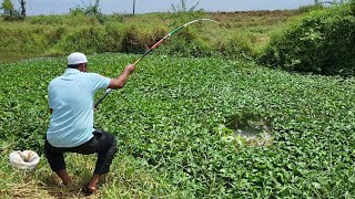 "ROHU FISHING IN VILLAGE STREAM!"SINGLE HOOK FLOAT FISHING TECHNIQUES IN VILLAGES
