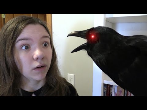 HAUNTED ZOMBIE RAVEN.
