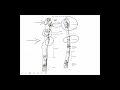 Identifying Plant Structures and Functions