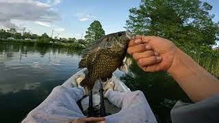 FISHING ADVENTURE #4 WITH MERCKY_CATCH (WE TORE THEM UP!!!!)