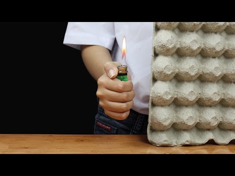 6 Truques simples com caixas de ovos