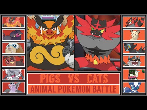 POKÉMON PIGS vs POKÉMON CATS | Pokémon Scarlet & Violet