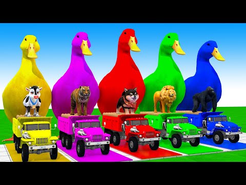 Long Slide Game With Cow Elephant Gorilla Hippopotamus Tiger 3d Animal Game Funny 3d Animals