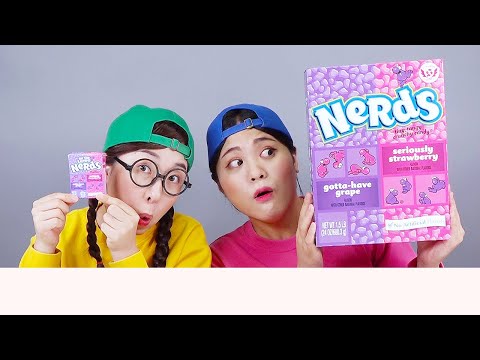 ビッグフードVSスモールフードチャレンジドナ