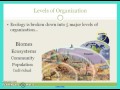 Ecological Concepts and Relationships