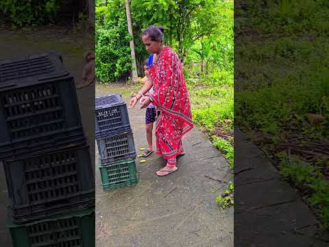 Love Animals #cute #cat ❤️❤️