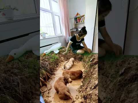 Don't panic when you encounter something, take out your phone and post a funny special effects d