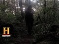 Understanding the Connection with Nature