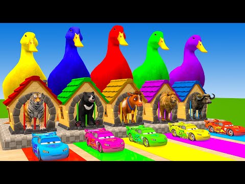 Long Slide Game With Elephant Gorilla Buffalo Hippopotamus Tiger - 3d Animal Game - Funny 3d Animals