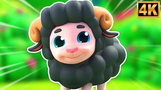 Baa Baa Black Sheep | Educational Rhyme Songs for Children