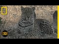 Animal Behavior and Ecology Concepts