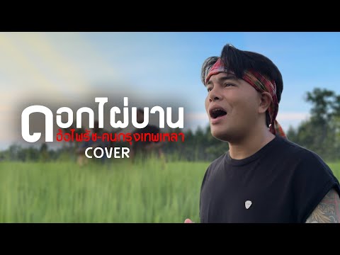 ดอกไผ่บาน[คาราบาว-ปาน] - อ้อ ไพรัช | Cover Version