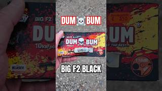 Dum☠️Bum Big Black Edition #fireworks #shorts #shortvideo #feuerwerk #firecracker #pyro