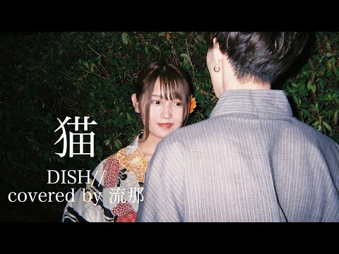 猫- DISH// ~covered by 流那~【ep.1】