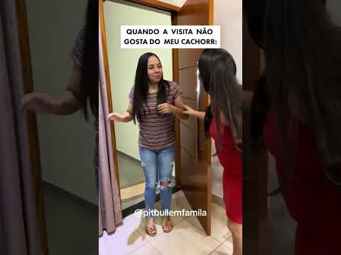 Sai cachorro ? Sai você kkk #shorts #youtubeshorts #pets #pitbull #familiapitbull