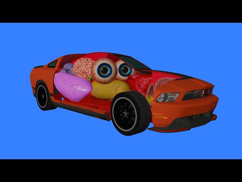 How a Car works